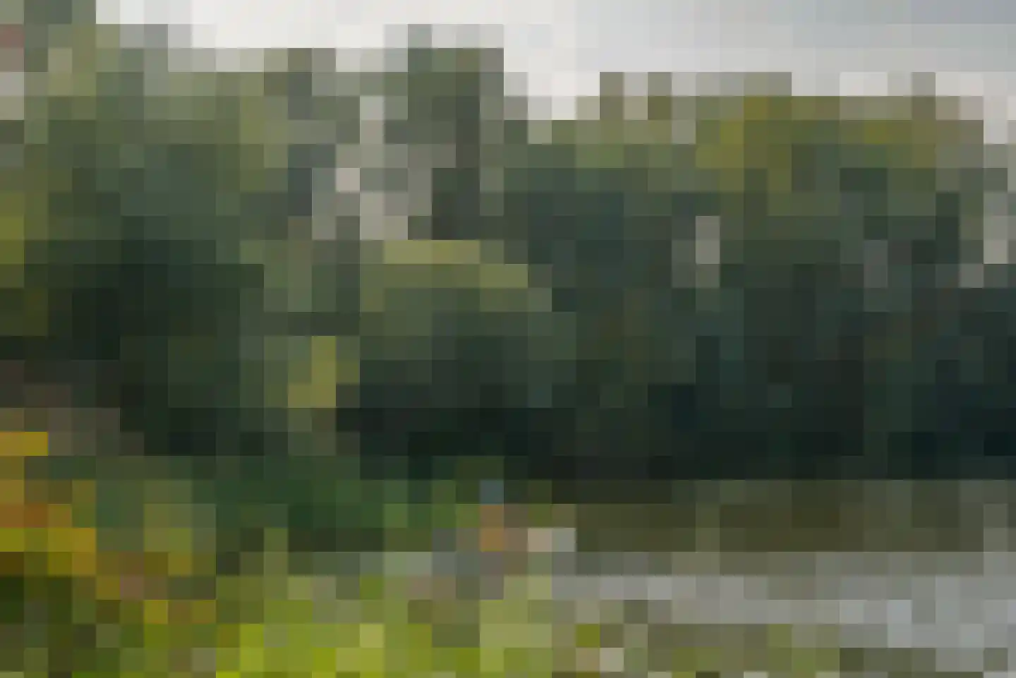 Liendenhof 302 Amsterdam thumbnail 28