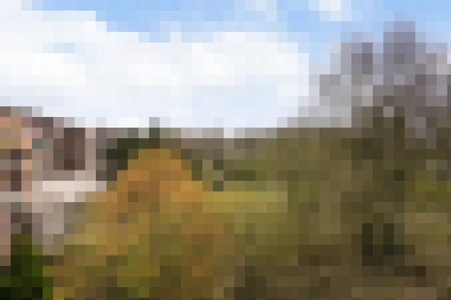 Liendenhof 307 Amsterdam thumbnail 21