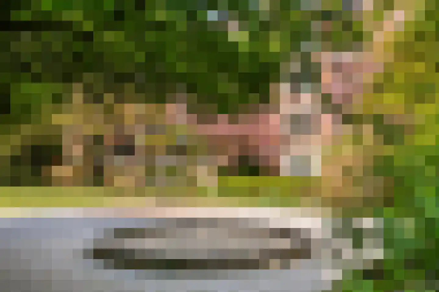 Liendenhof 307 Amsterdam thumbnail 22