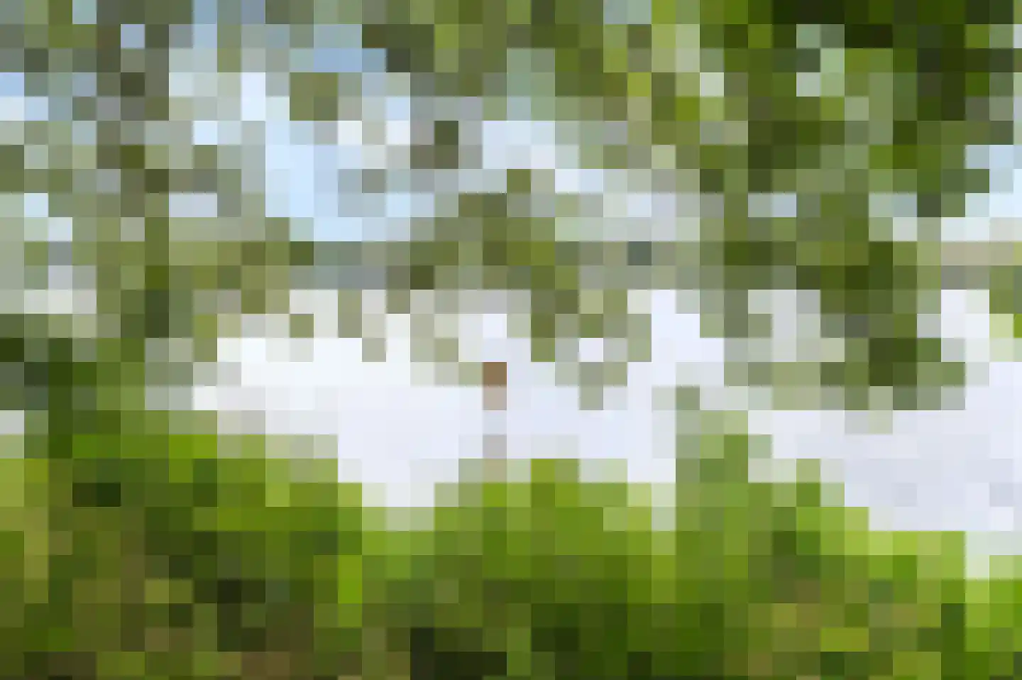 Liendenhof 307 Amsterdam thumbnail 24