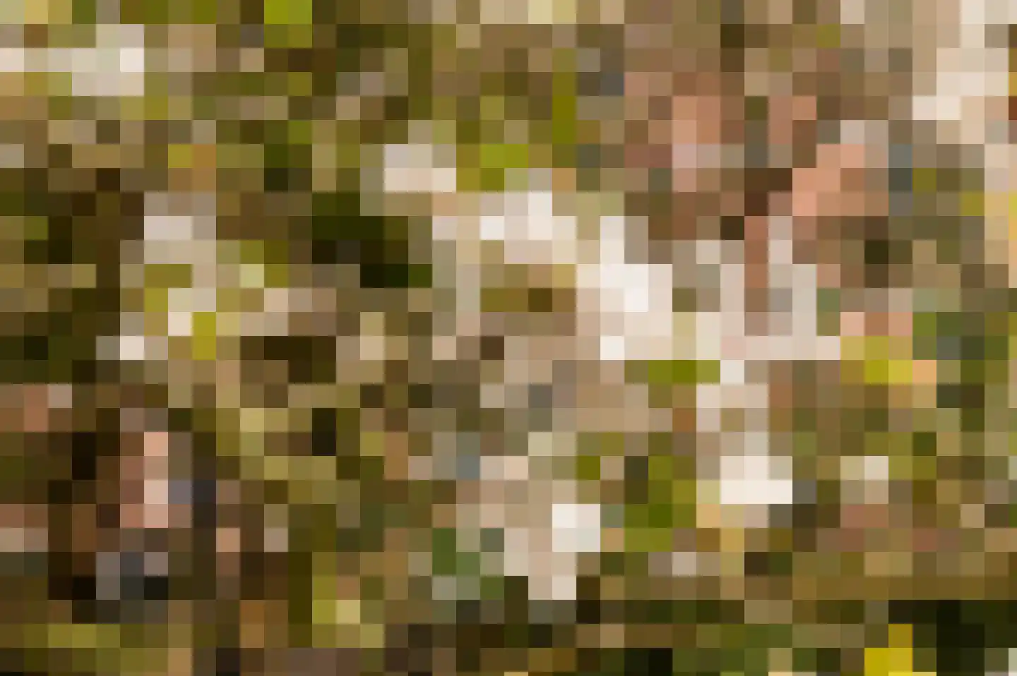 Liendenhof 307 Amsterdam thumbnail 27