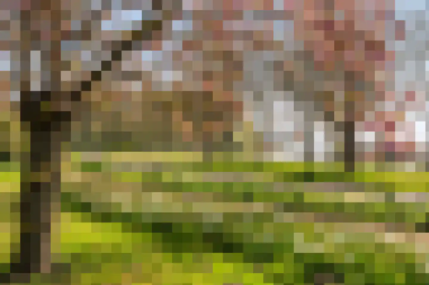 Liendenhof 307 Amsterdam thumbnail 28