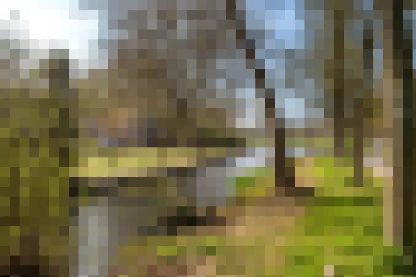 Liendenhof 307 Amsterdam thumbnail 30