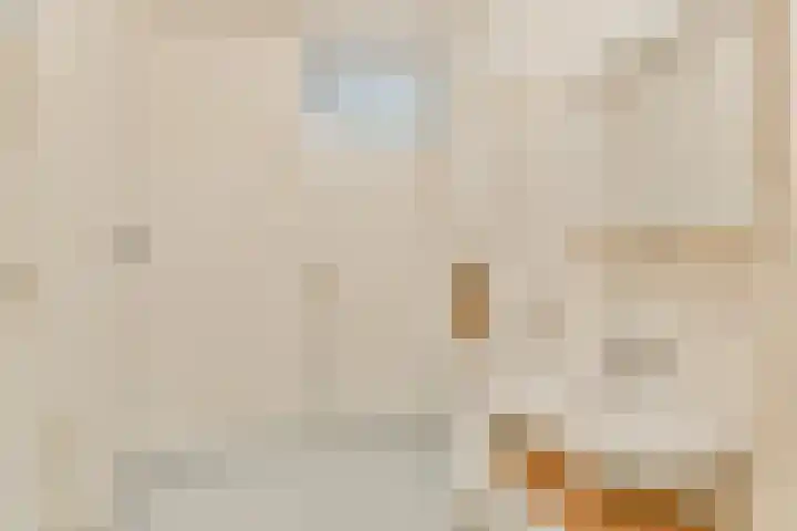Liendenhof 40 Amsterdam thumbnail 16