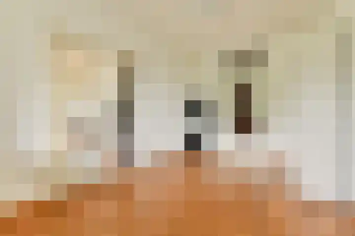 Liendenhof 40 Amsterdam thumbnail 18