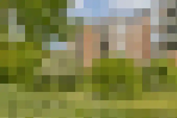 Liendenhof 40 Amsterdam thumbnail 22
