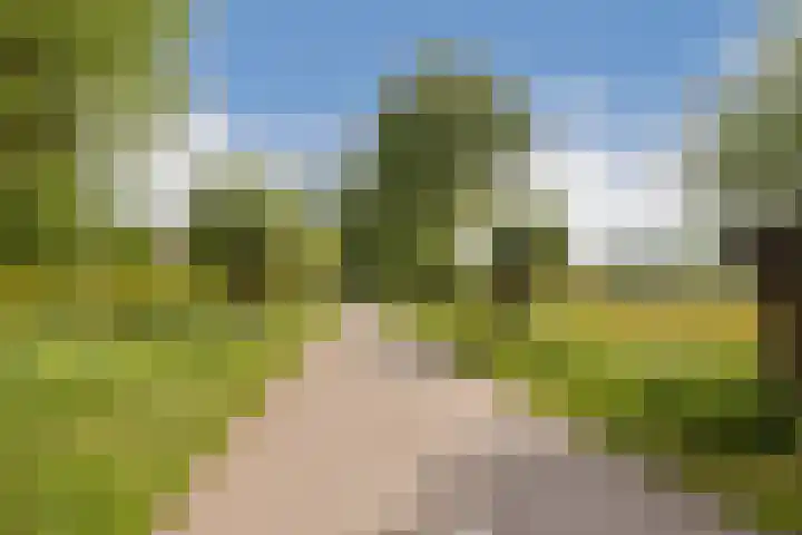 Liendenhof 40 Amsterdam thumbnail 23