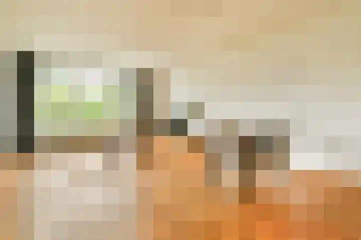 Liendenhof 40 Amsterdam thumbnail 4