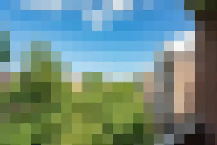 Liendenhof 59 Amsterdam thumbnail 18