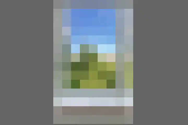 Liendenhof 59 Amsterdam thumbnail 33