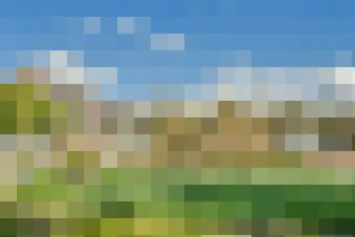 Liendenhof 59 Amsterdam thumbnail 4