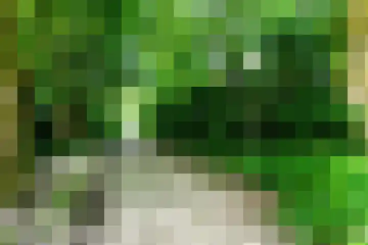 Liendenhof 59 Amsterdam thumbnail 5