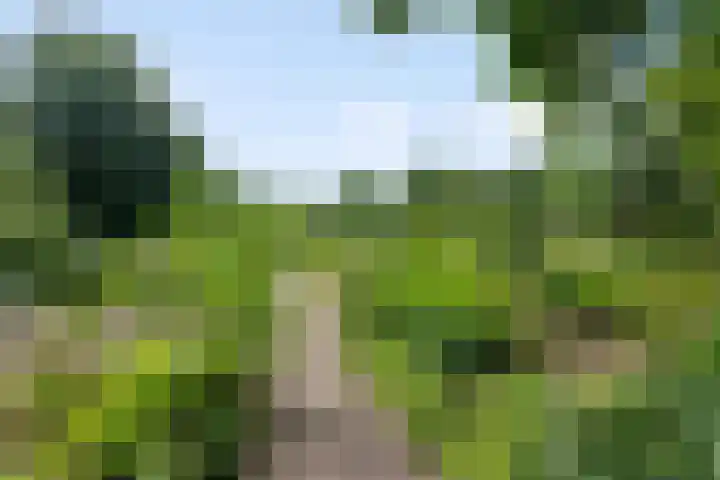 Liendenhof 59 Amsterdam thumbnail 6