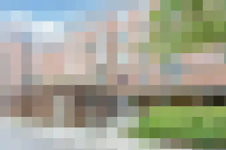 Liendenhof 59 Amsterdam thumbnail 7
