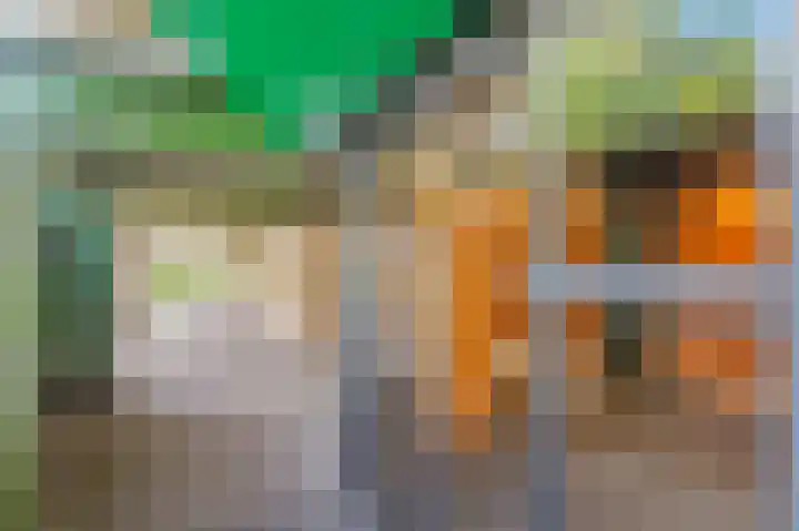 Liendenhof 72 Amsterdam thumbnail 24
