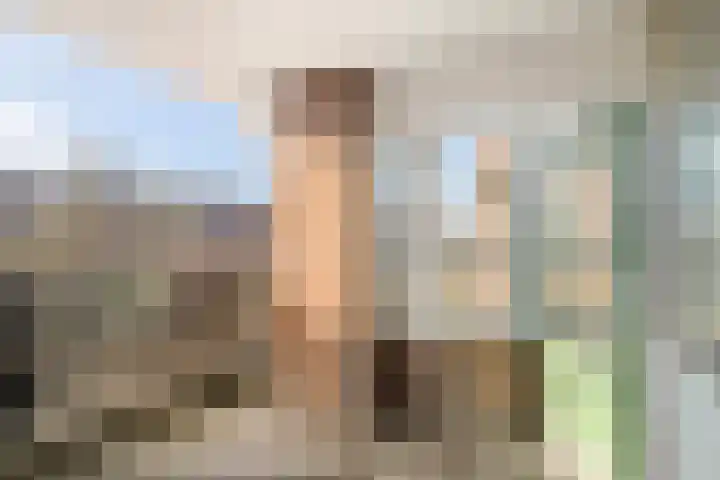 Liendenhof 77 Amsterdam thumbnail 10