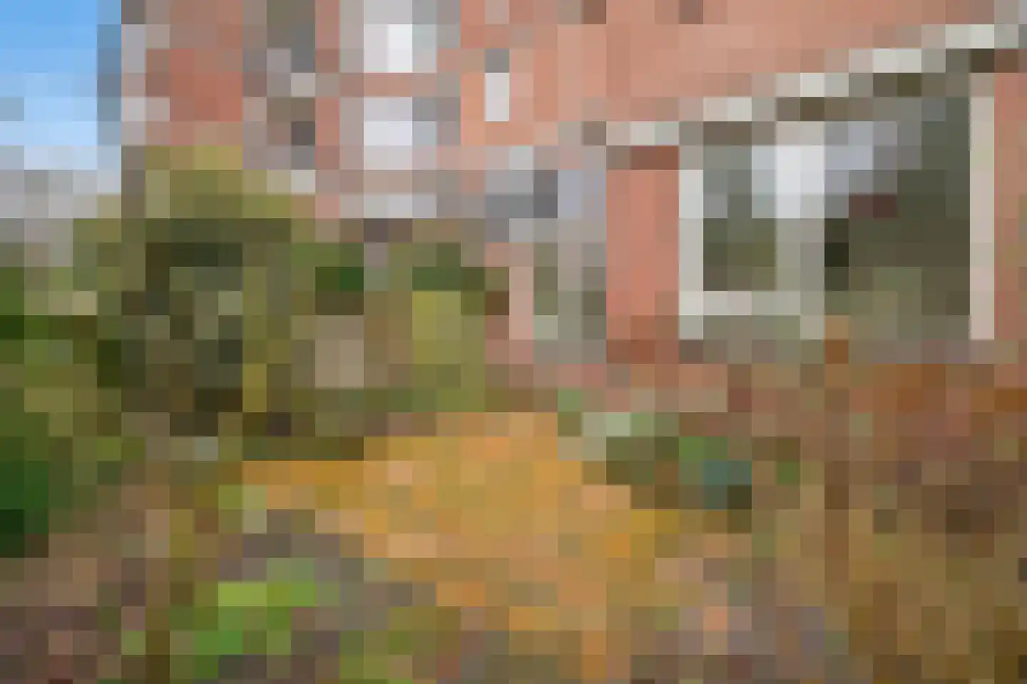 Liendenhof 82 Amsterdam thumbnail 19