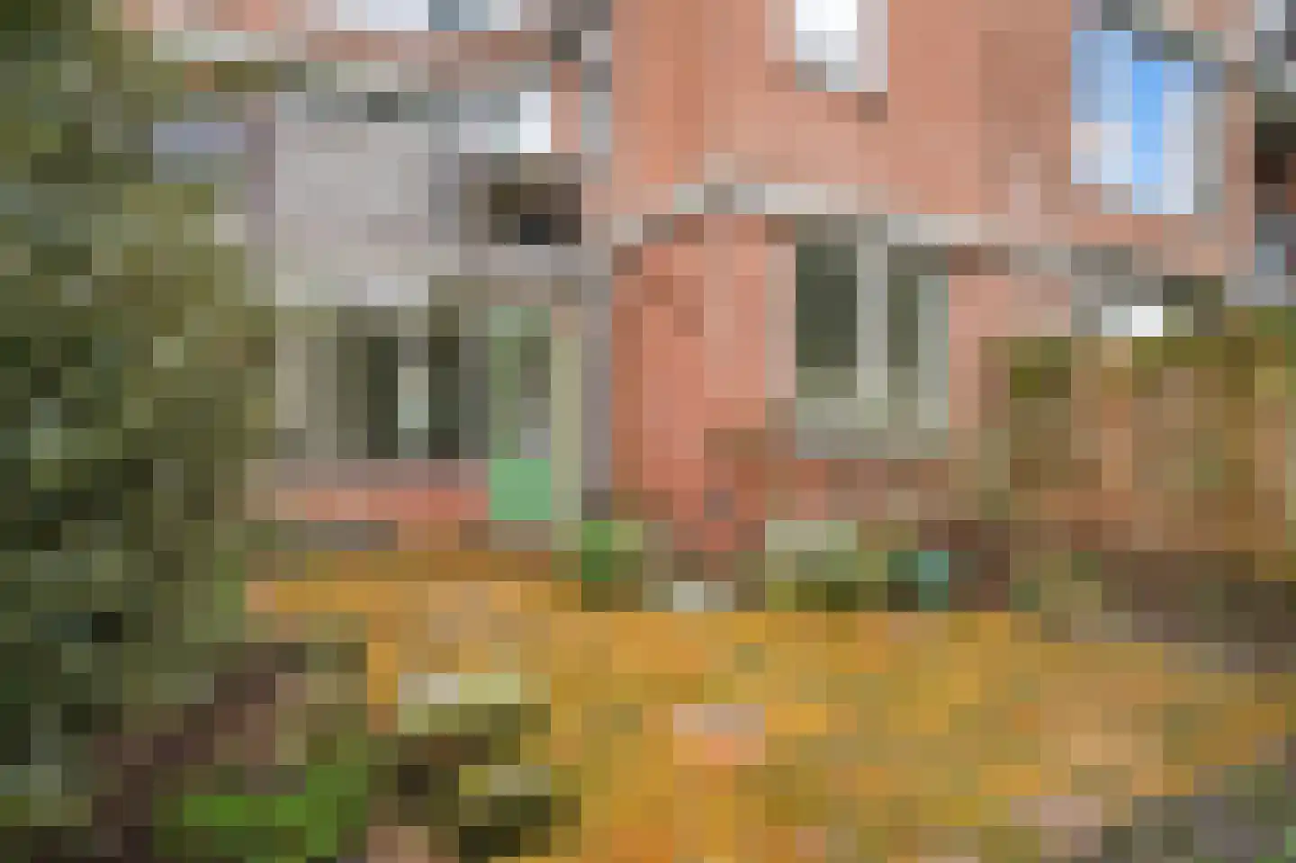 Liendenhof 82 Amsterdam thumbnail 7