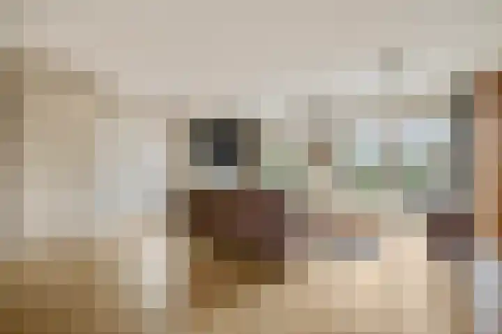 Liendense Singel 2 a Lienden thumbnail 10