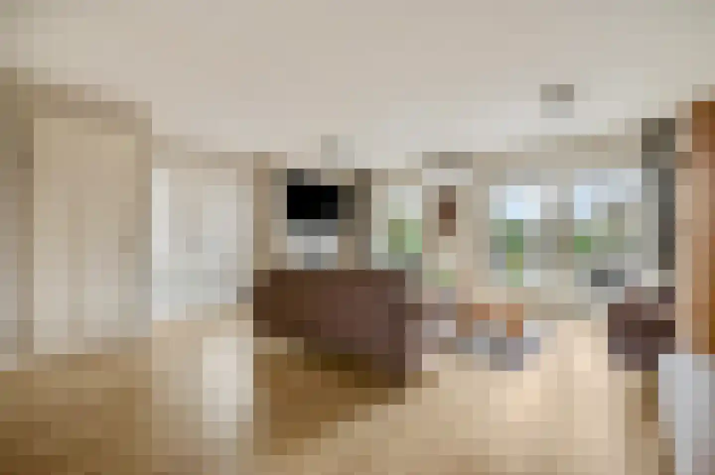 Liendense Singel 2 a Lienden thumbnail 10