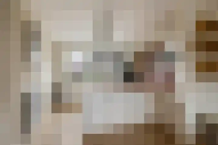 Liendense Singel 2 a Lienden thumbnail 11