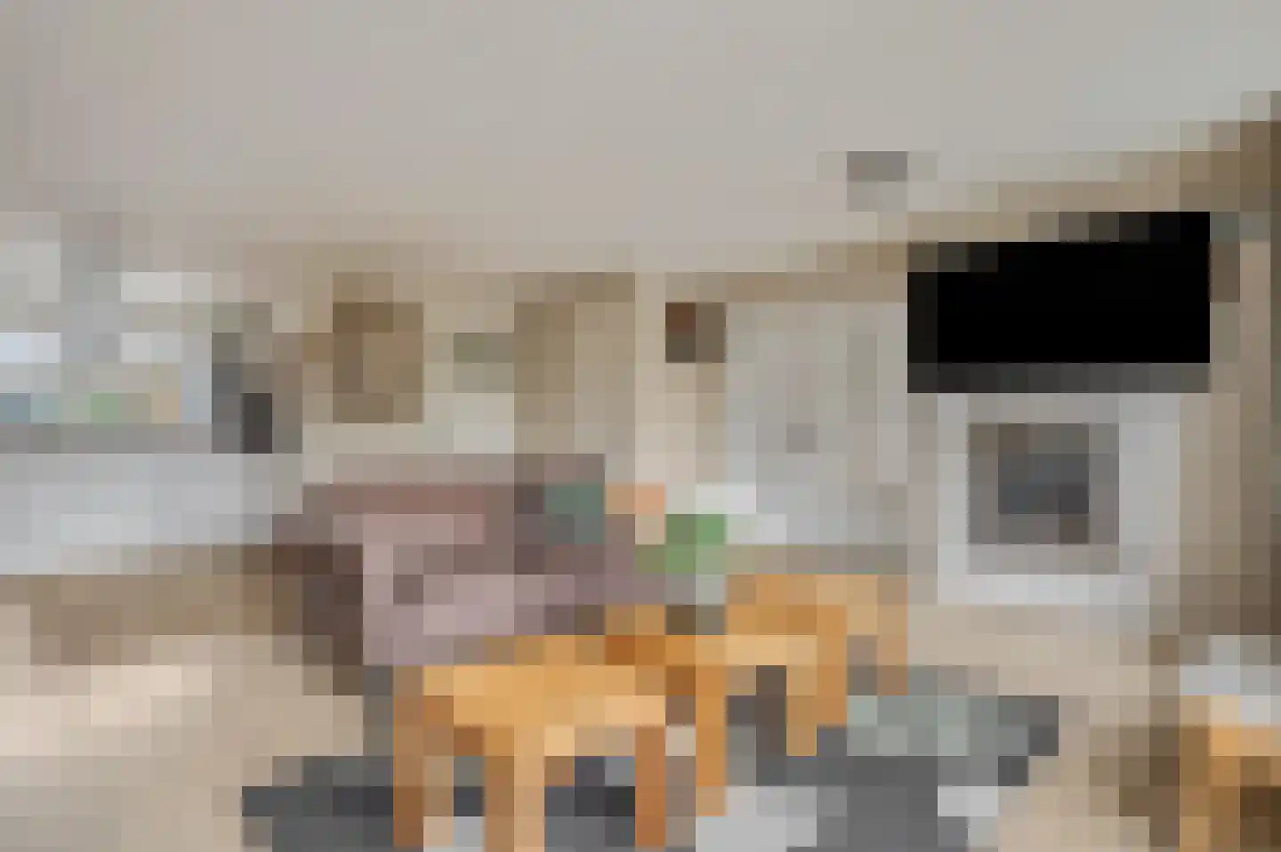 Liendense Singel 2 a Lienden thumbnail 13