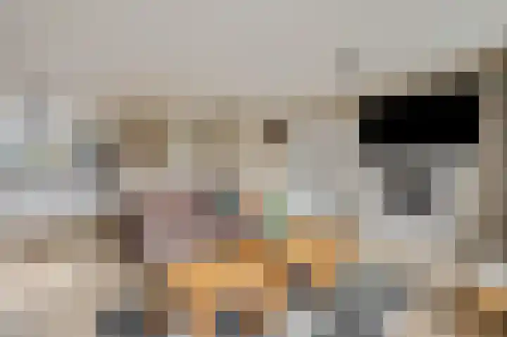 Liendense Singel 2 a Lienden thumbnail 13