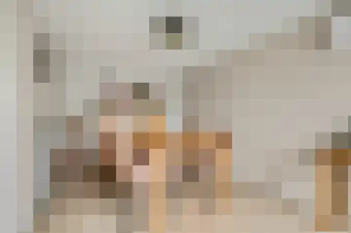 Liendense Singel 2 a Lienden thumbnail 14