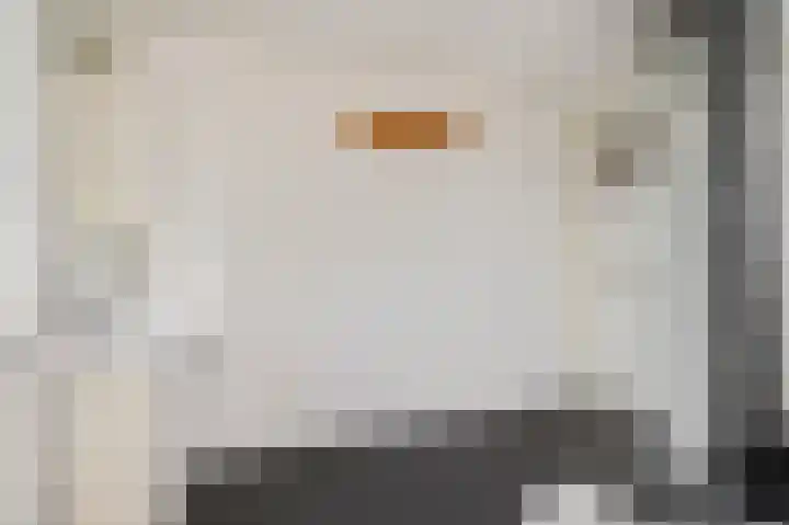 Liendense Singel 2 a Lienden thumbnail 17