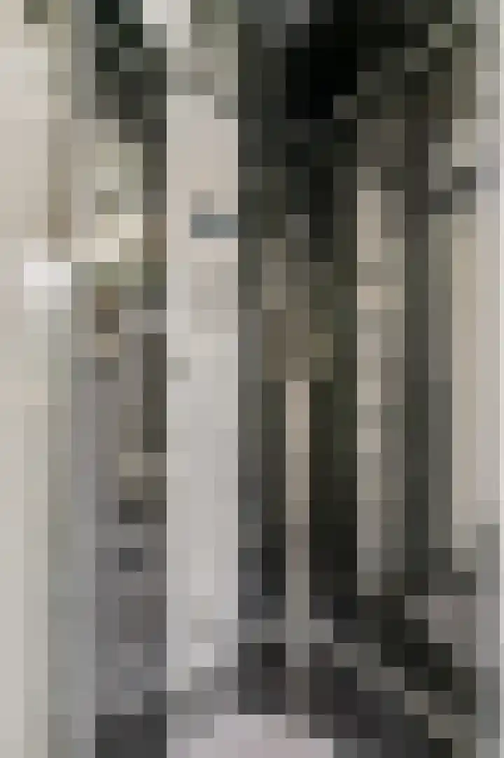 Liendense Singel 2 a Lienden thumbnail 18