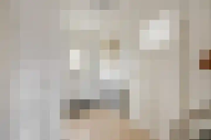 Liendense Singel 2 a Lienden thumbnail 19