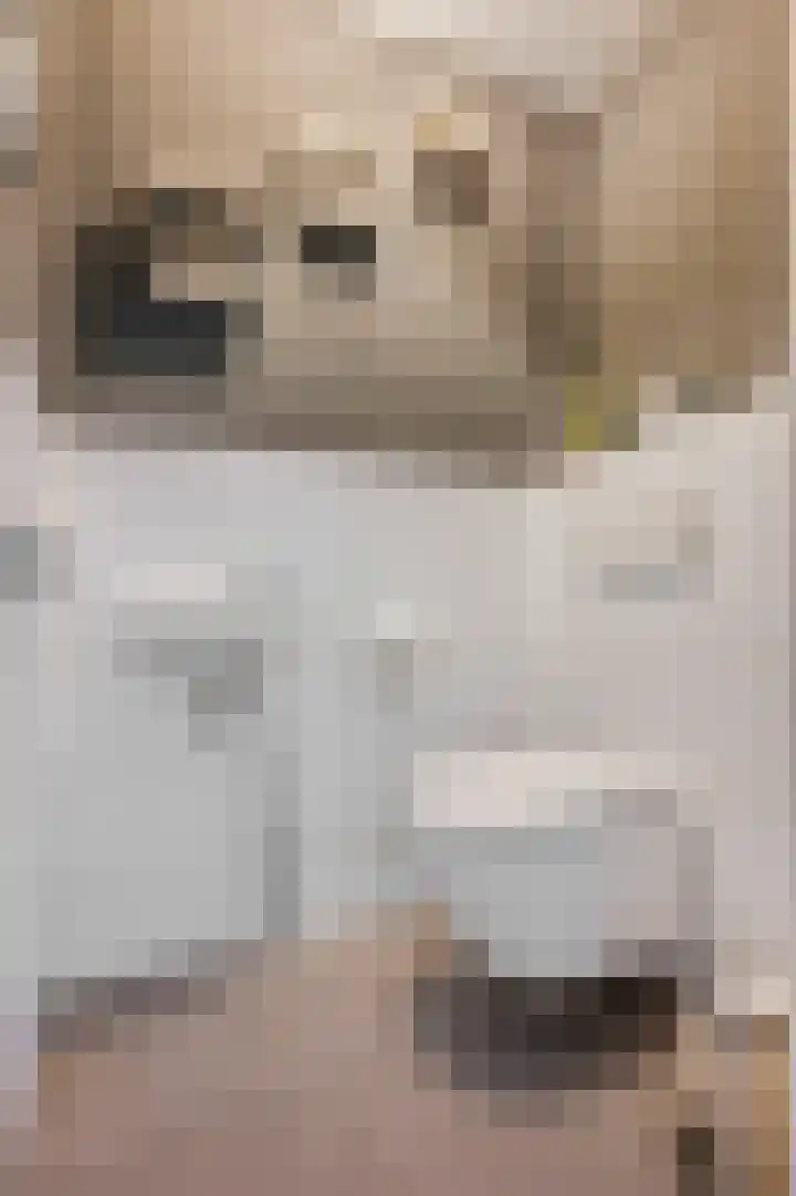 Liendense Singel 2 a Lienden thumbnail 20