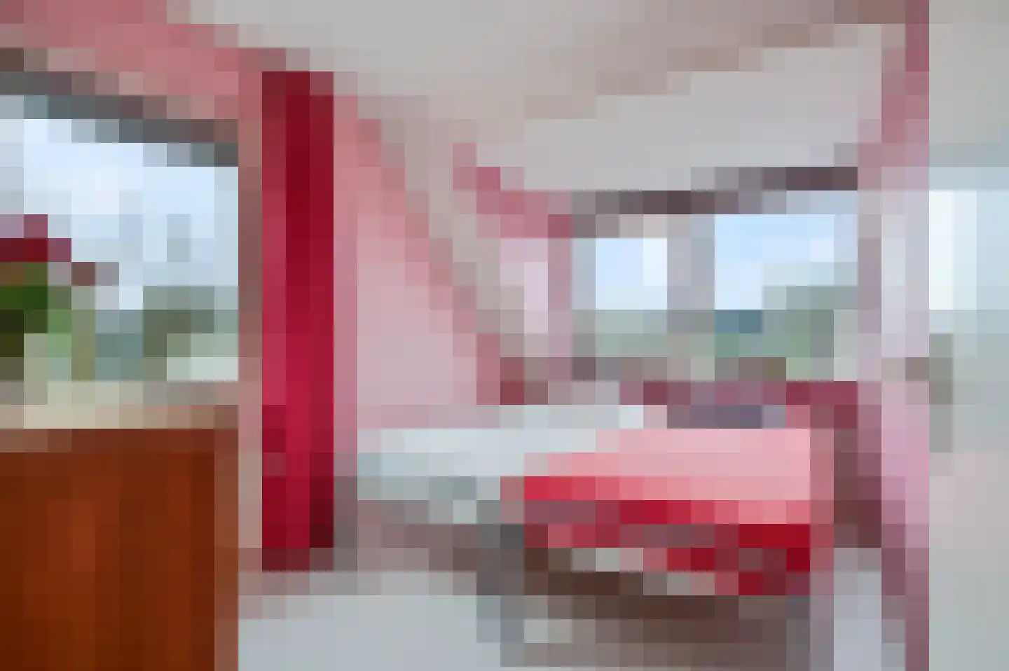 Liendense Singel 2 a Lienden thumbnail 22