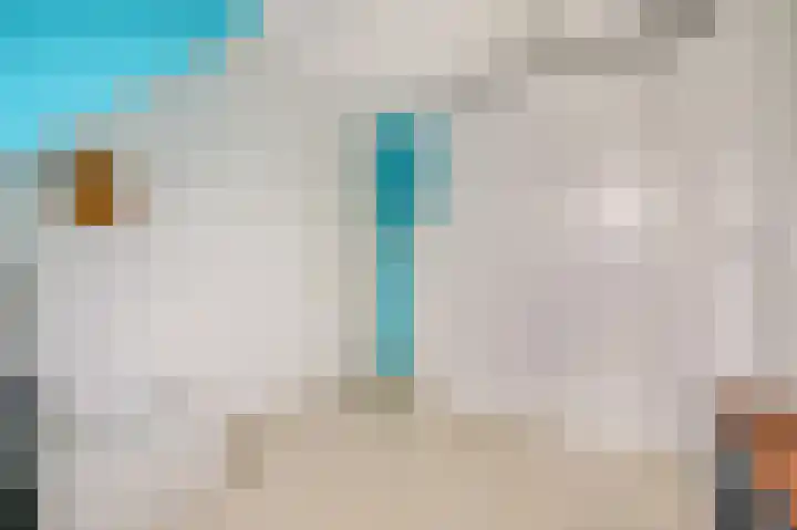 Liendense Singel 2 a Lienden thumbnail 26