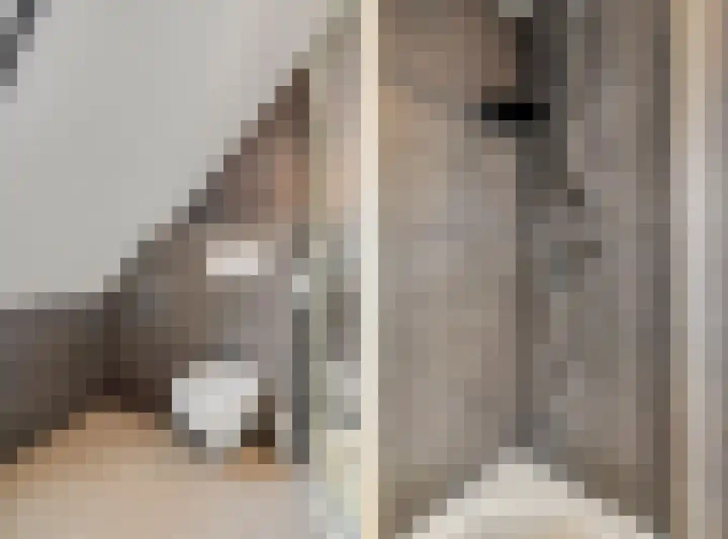 Liendense Singel 2 a Lienden thumbnail 28