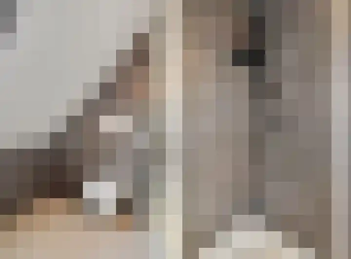 Liendense Singel 2 a Lienden thumbnail 28