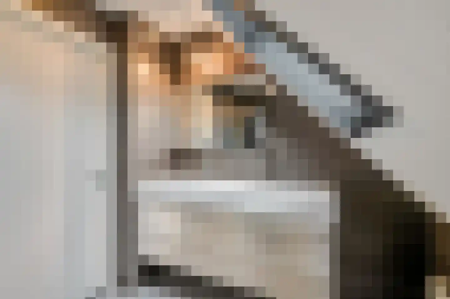 Liendense Singel 2 a Lienden thumbnail 29
