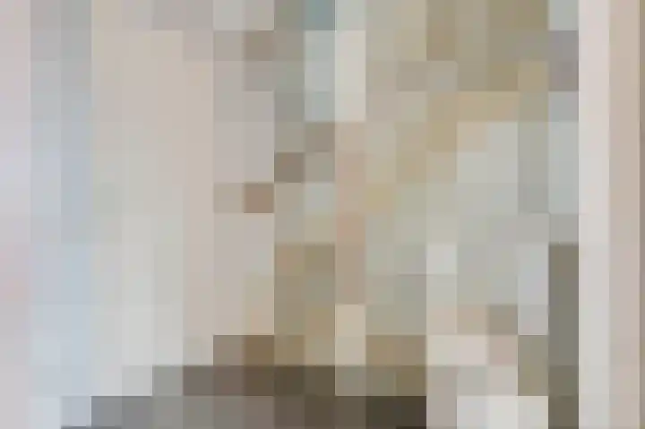 Liendense Singel 2 a Lienden thumbnail 30