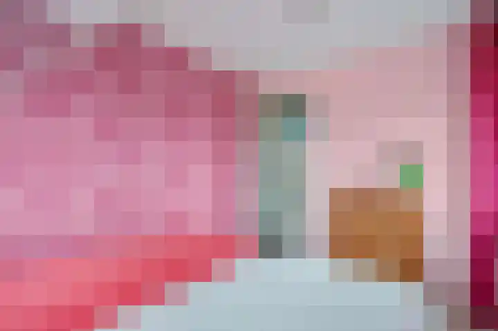 Liendense Singel 2 a Lienden thumbnail 4