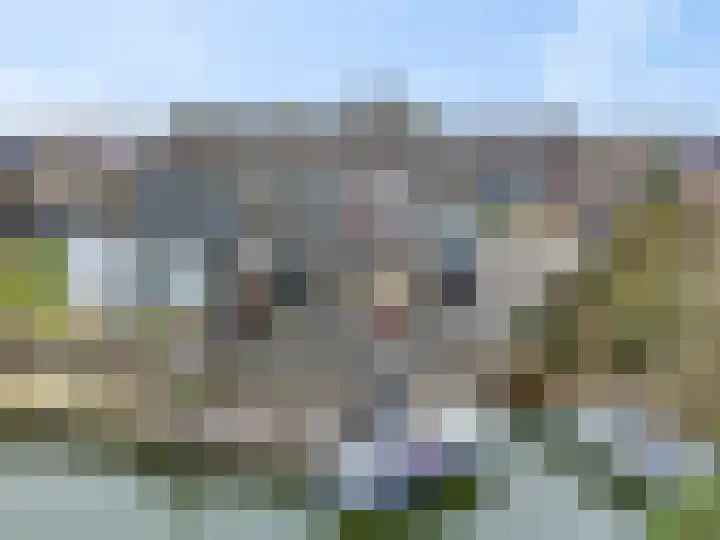 Liendense Singel 2 a Lienden thumbnail 40