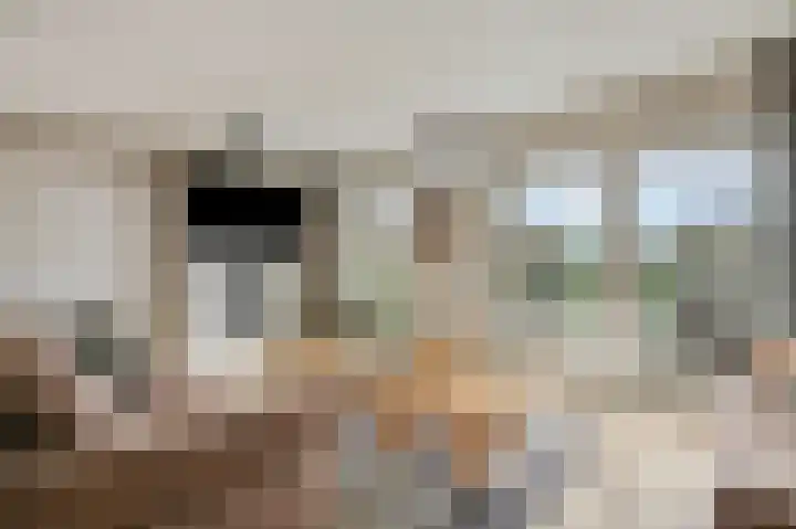 Liendense Singel 2 a Lienden thumbnail 7