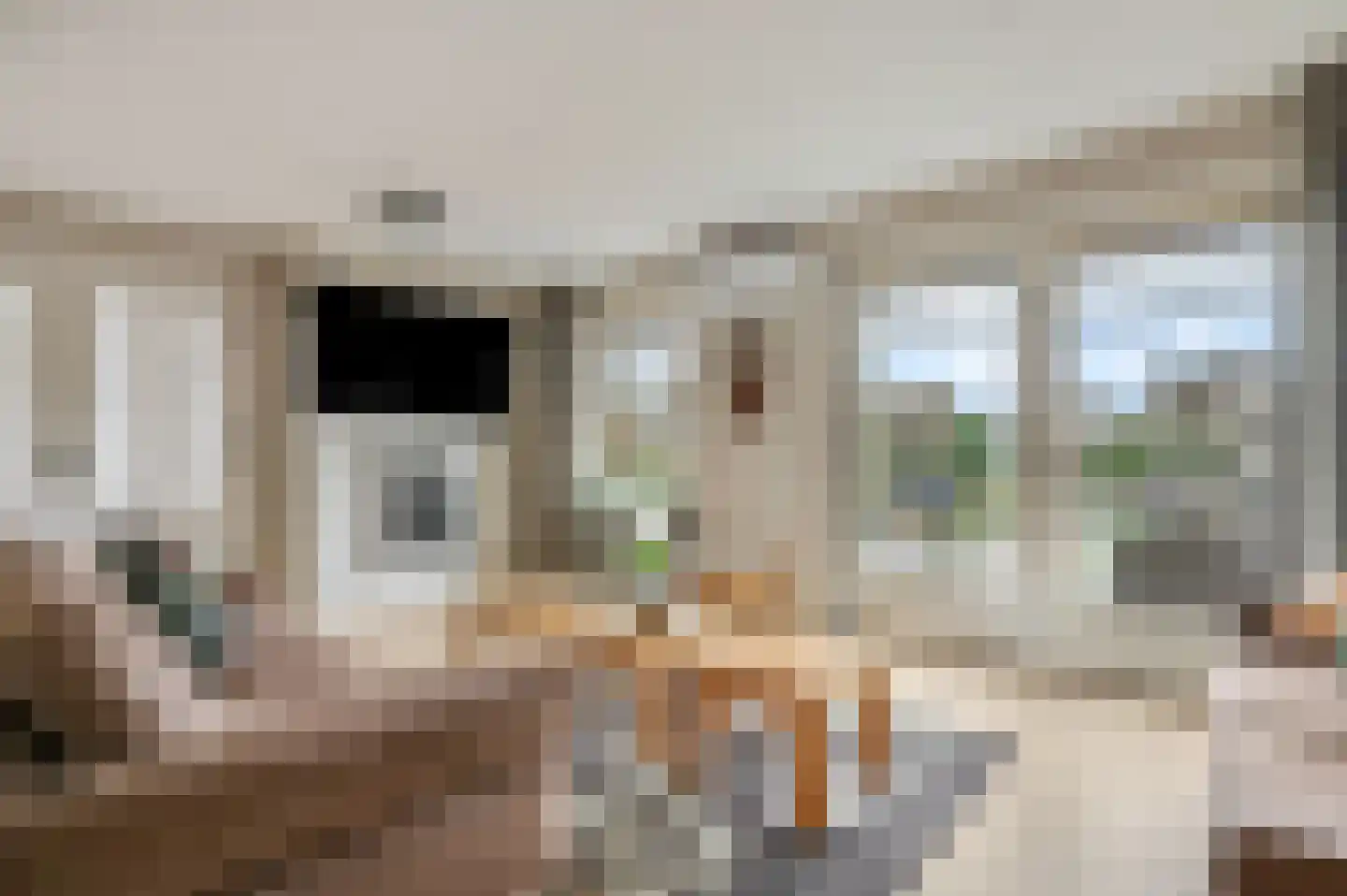 Liendense Singel 2 a Lienden thumbnail 7