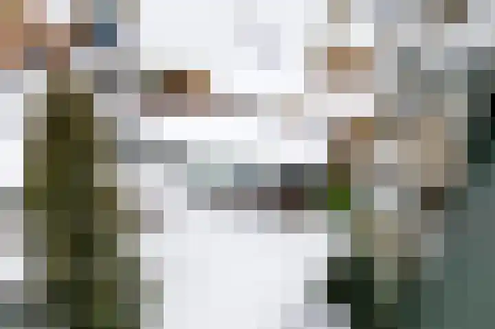 Liendense Singel 20 Lienden thumbnail 10