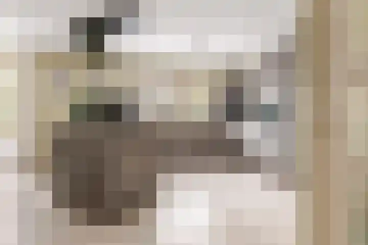 Liendense Singel 20 Lienden thumbnail 13