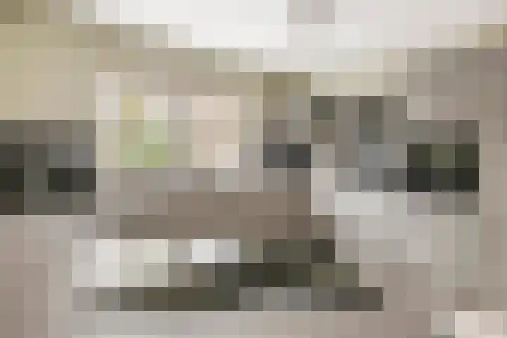 Liendense Singel 20 Lienden thumbnail 14