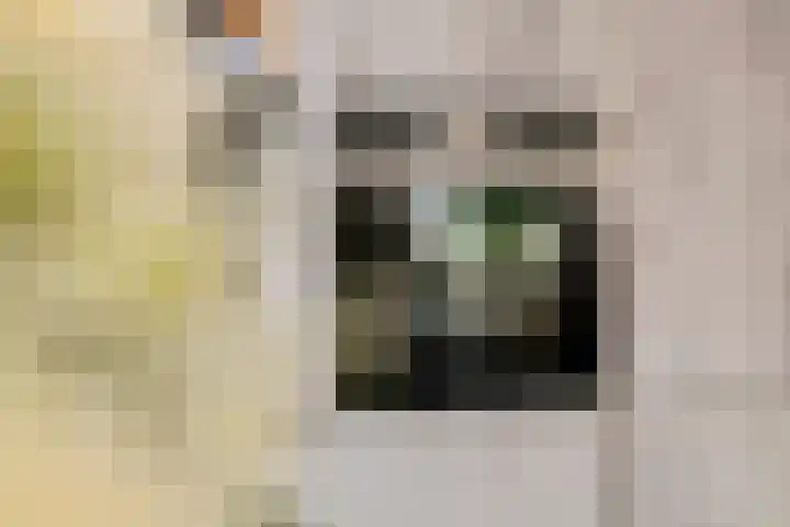 Liendense Singel 20 Lienden thumbnail 15
