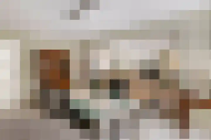 Liendense Singel 20 Lienden thumbnail 17