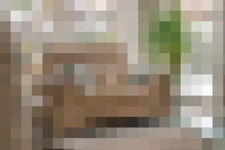 Liendense Singel 20 Lienden thumbnail 19