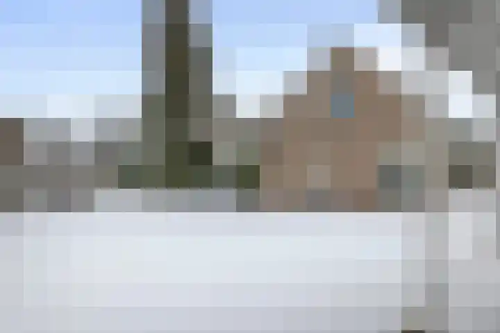 Liendense Singel 20 Lienden thumbnail 21
