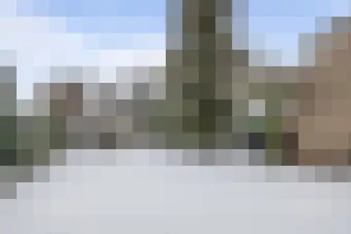 Liendense Singel 20 Lienden thumbnail 22